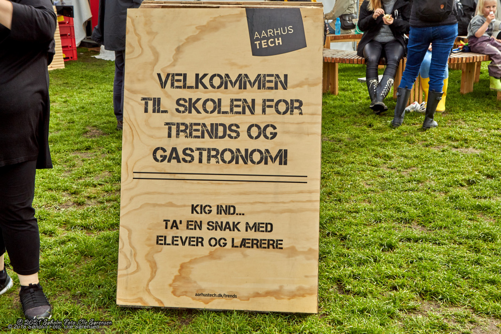 festivalpladsen 11253 aarhus food festival 2018 1448 IMG 2464 