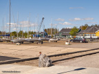 kaløvig bådelaug 2019 IMG 0665 16813