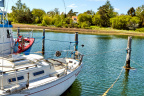 kaløvig bådelaug 2019 IMG 4329 16817