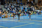 lif gymnastik 2017 17595 lif gymnastik DSC093946062