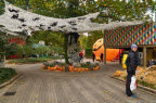 Tivoli Friheden tivoli friheden halloween 2016 0025 DSC09736 19079