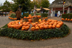 Tivoli Friheden tivoli friheden halloween 2016 0041 DSC09752 19095