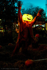 Tivoli Friheden tivoli friheden halloween 2019 00770 IMG 9152 19480