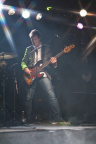 sample hvide logne lis 2012-4593