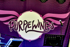 horsens purplewings 20989 IMG 6259