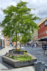 byer herning 2021 20331 IMG 1161