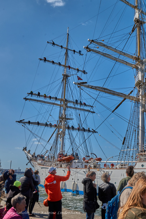 Attraktioner / The Tall Ships Races / The Ships 2019 Aalborg | Fotogator