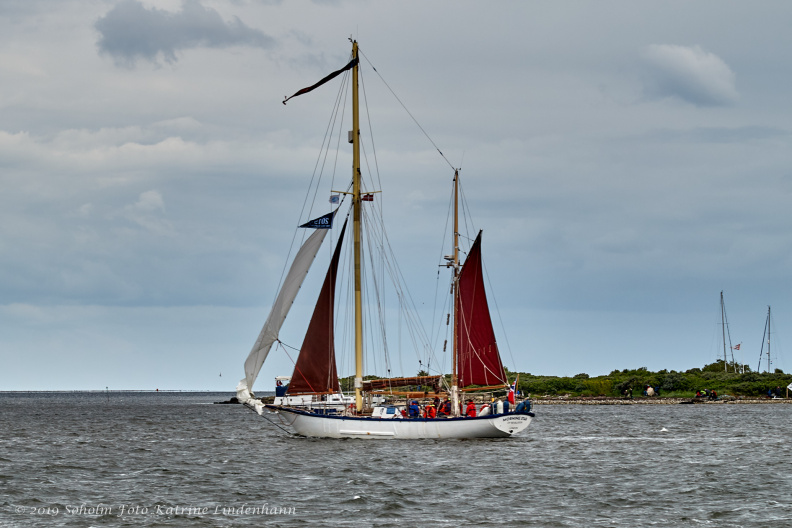 Aalborg Tall Ship race 2 juli 2019 _09999_DSC02569 .jpg