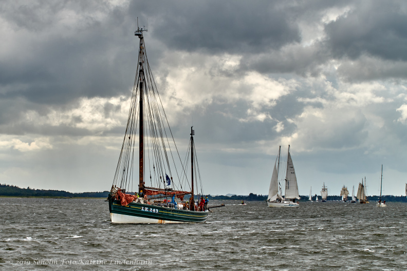 Aalborg Tall Ship race 2 juli 2019 _10000_DSC02571 .jpg