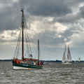 Aalborg Tall Ship race 2 juli 2019  10000 DSC02571 