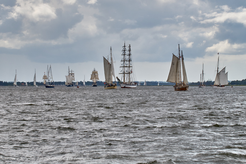 Aalborg Tall Ship race 2 juli 2019 _10015_DSC02586 .jpg