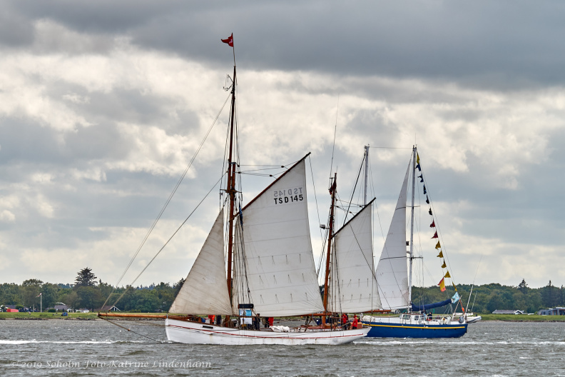 Aalborg Tall Ship race 2 juli 2019 _10029_DSC02603 .jpg