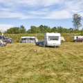 14291 Campen MG 2895