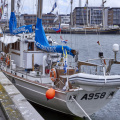 14668_Tall Ships Races 2022 Esbjerg_MG_4822.jpg