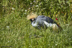 14758 Reepark 2022IMG 7441