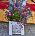 20931 Bord og blomster MG 9276